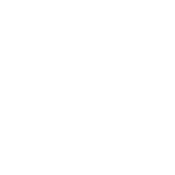 logo MNAC