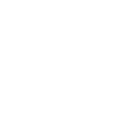 logo CNA Regina Maria