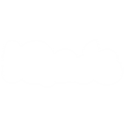 logo IQads